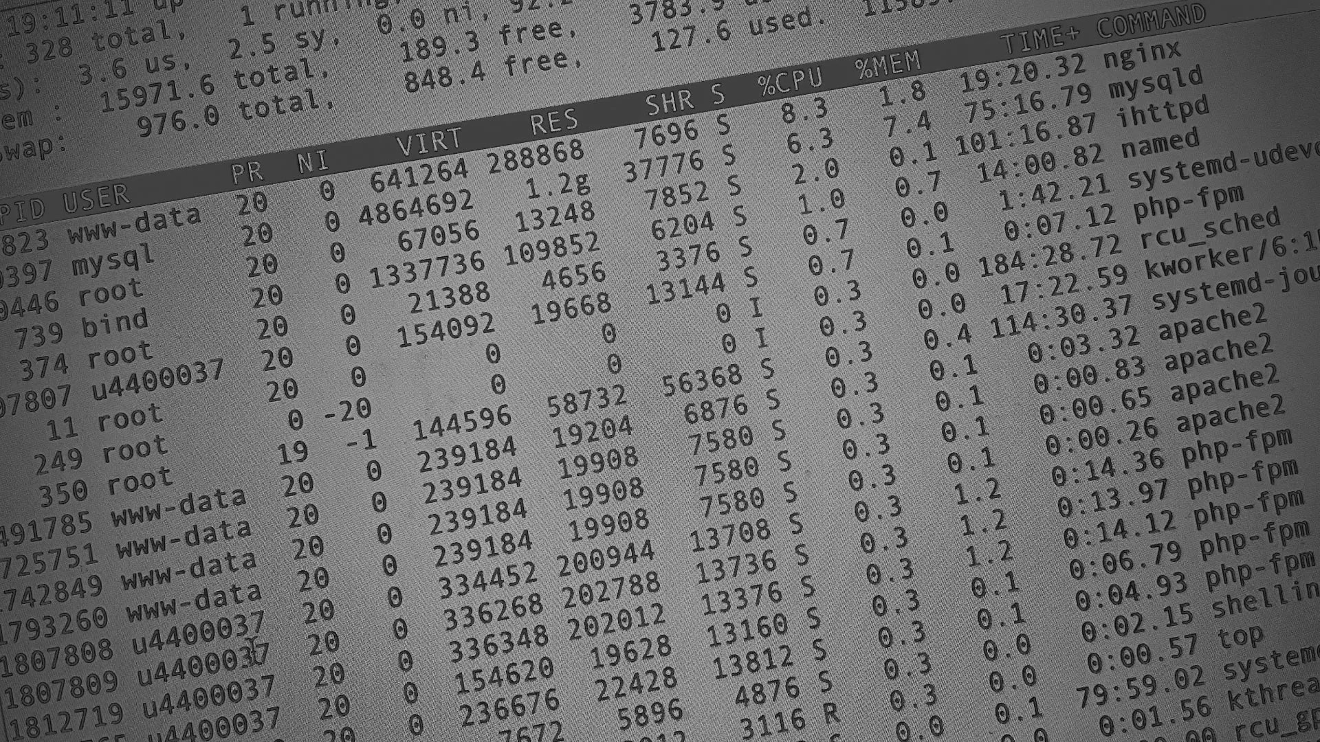 Настройка сервера в Новоалександровске